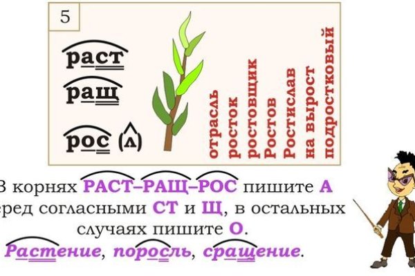 Кракен клир ссылка