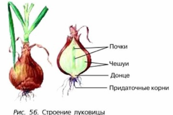 Онлайн магазин наркотиков